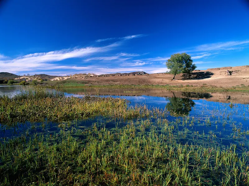 Ecological Protection