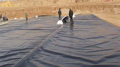 Five Environmental Requirements for the Construction of Anti-seepage Membranes for Lotus Pond Aquaculture