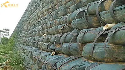 A New Option for Slope Protection: How Steel-Plastic Geogrids Protect Mountain Safety