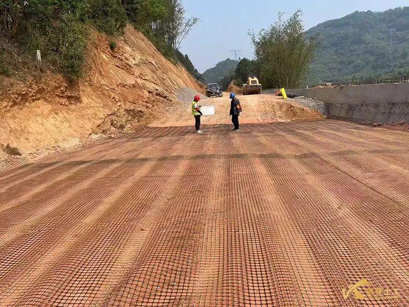 Steel-Plastic Geogrid Construction Acceptance