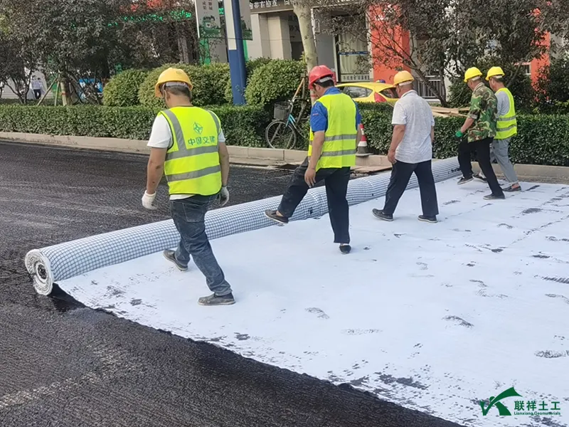 Fiberglass Grid Composite Geotextile Construction Site