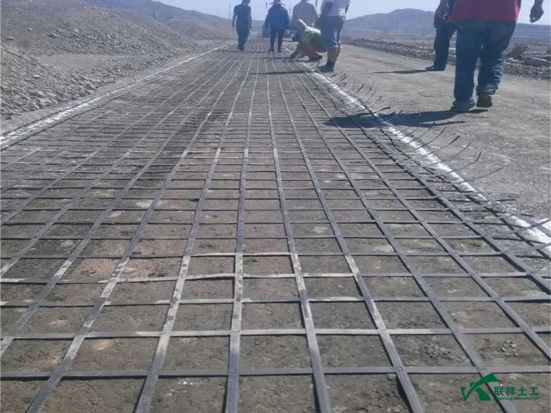 Steel-Plastic Geogrid Road Construction