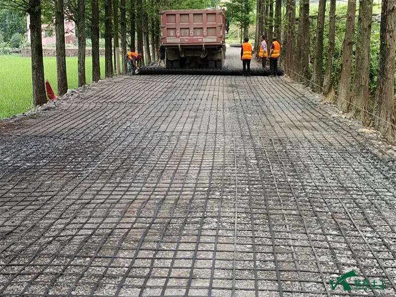 Steel-Plastic Grid Road Paving