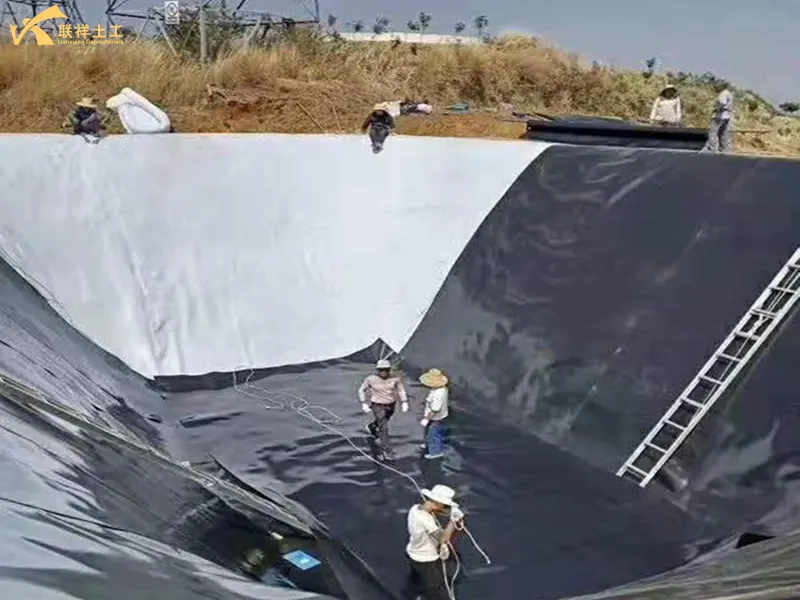 Fish Pond Geomembrane Construction Site
