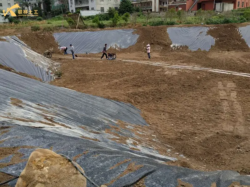 Construction Of Anti-Seepage Geomembrane In Lotus Pond