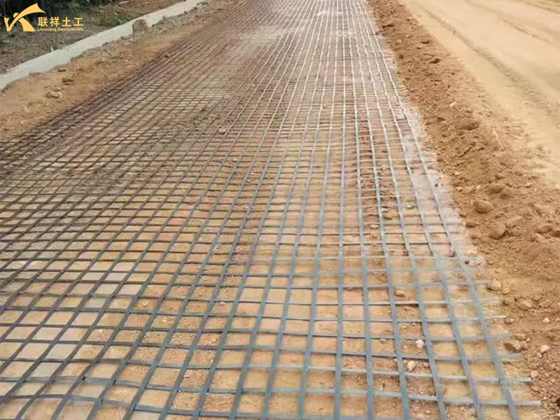 Construction Of Steel-Plastic Composite Geogrid