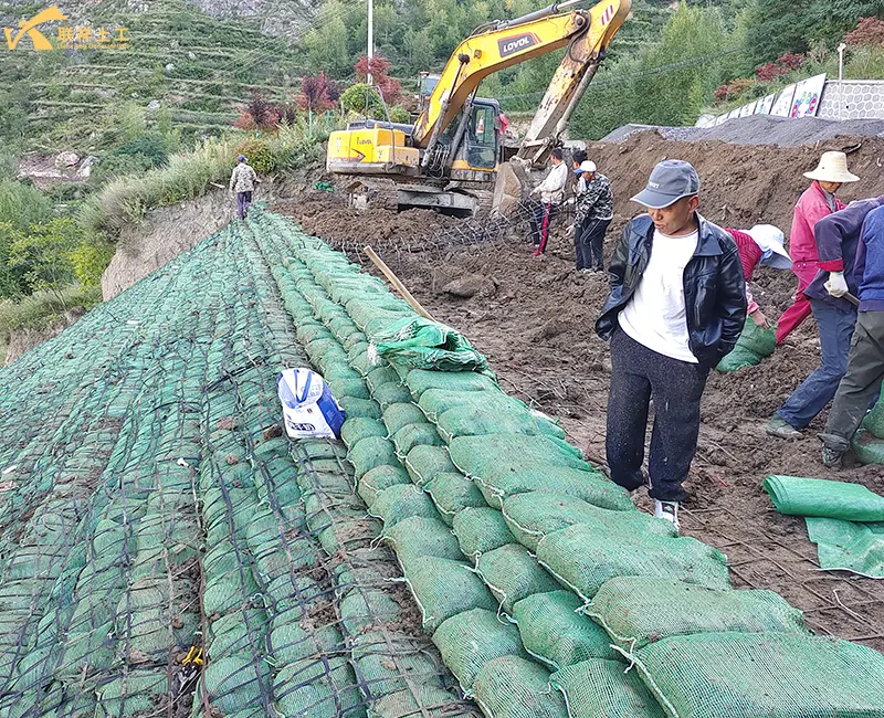 Steel-Plastic Composite Geogrid Slope Protection Project