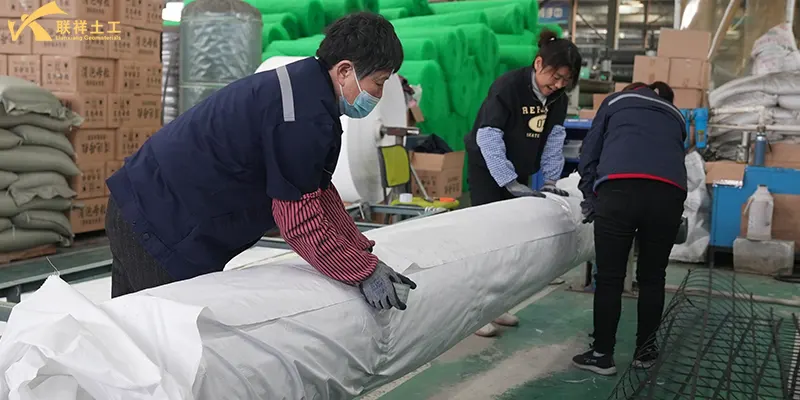 Steel-Plastic Geogrid Packaging