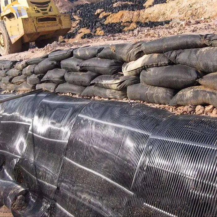 Uniaxial Plastic Geogrid Flood Control And Dam Protection Project