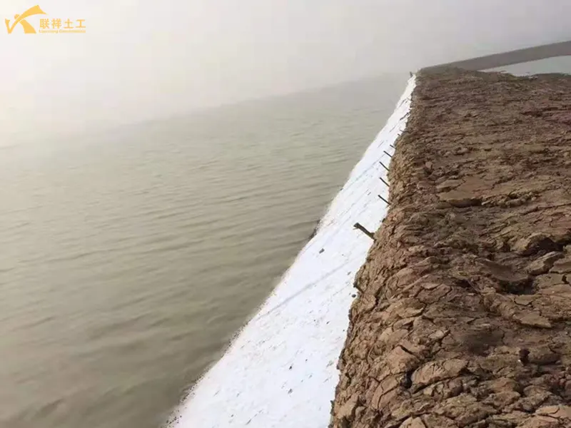 Filament Geotextile Used In Dam Projects