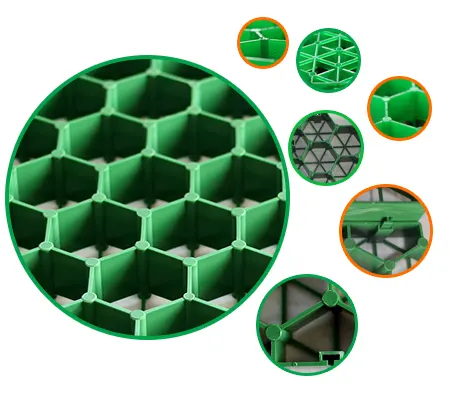 Detailed Display Of The 5cm Reinforced Grass Grid