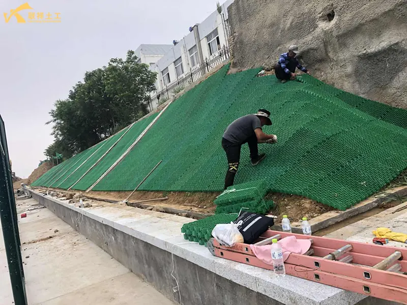 Grass Grids Are Used In Retaining Wall Greening Projects