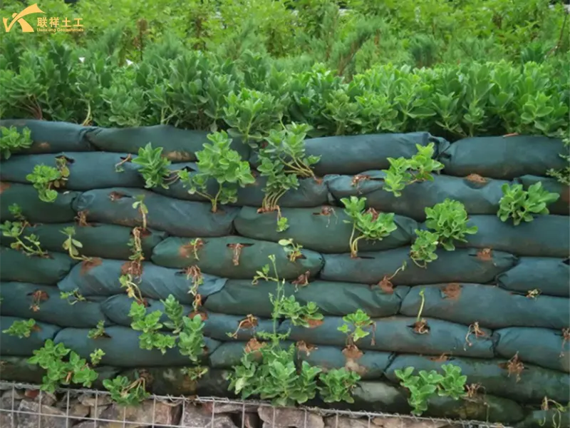 Geotextile Bag Provide Root Reinforcement