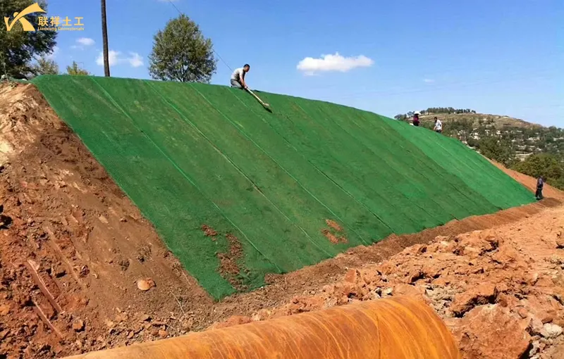 3d Erosion Control Mat Used In Slope Protection And Soil Consolidation Projects