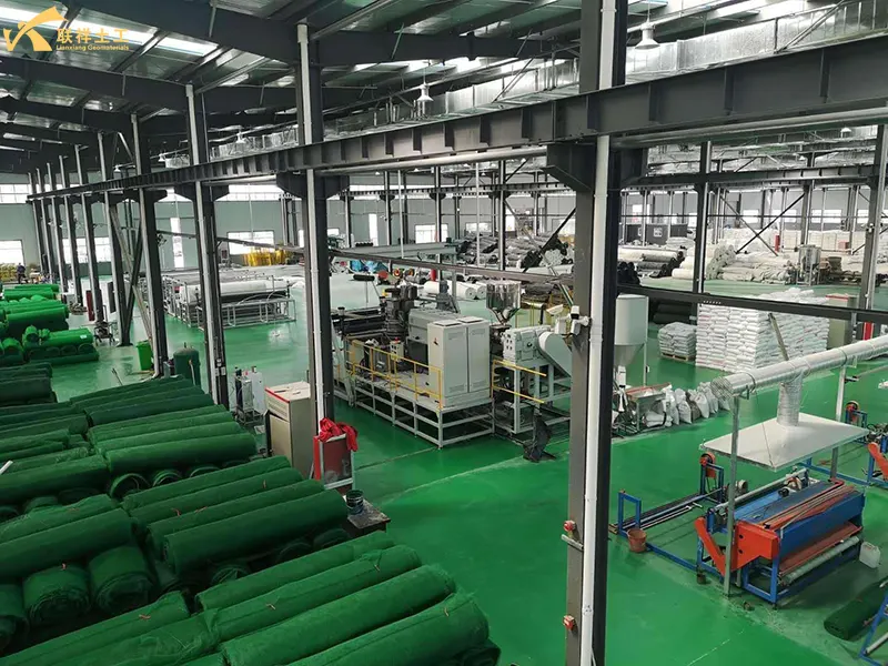 Three-Dimensional Vegetation Net Production Workshop