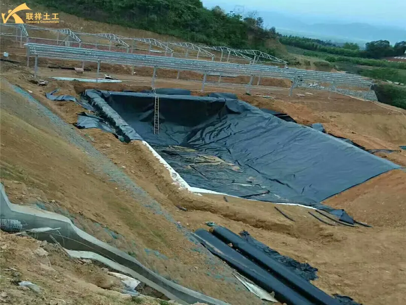 Septic Tank Geomembrane Construction