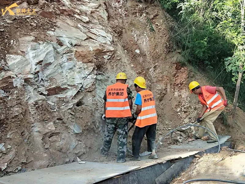 Basic Level Organization