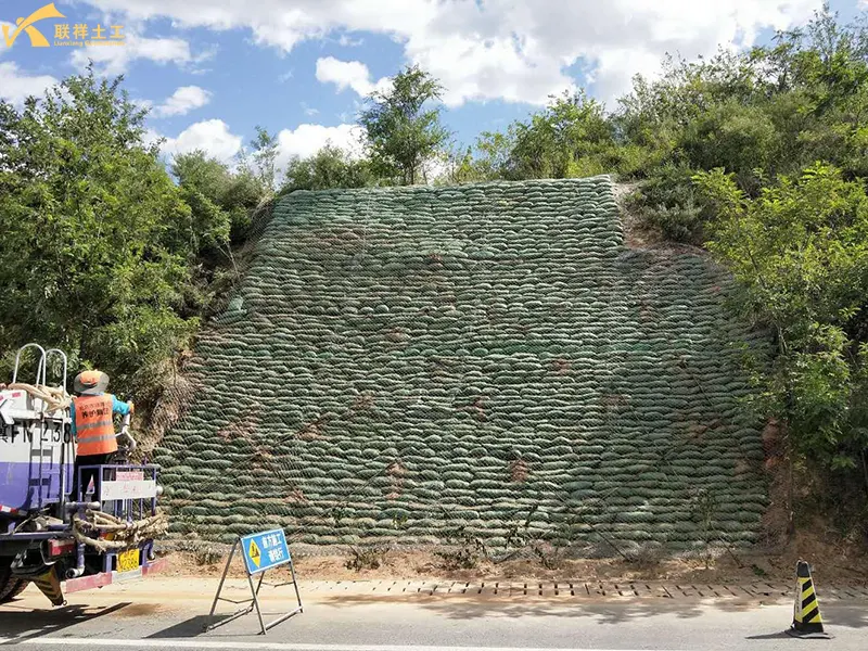 Hang Wire Mesh And Secure Eco-Bags