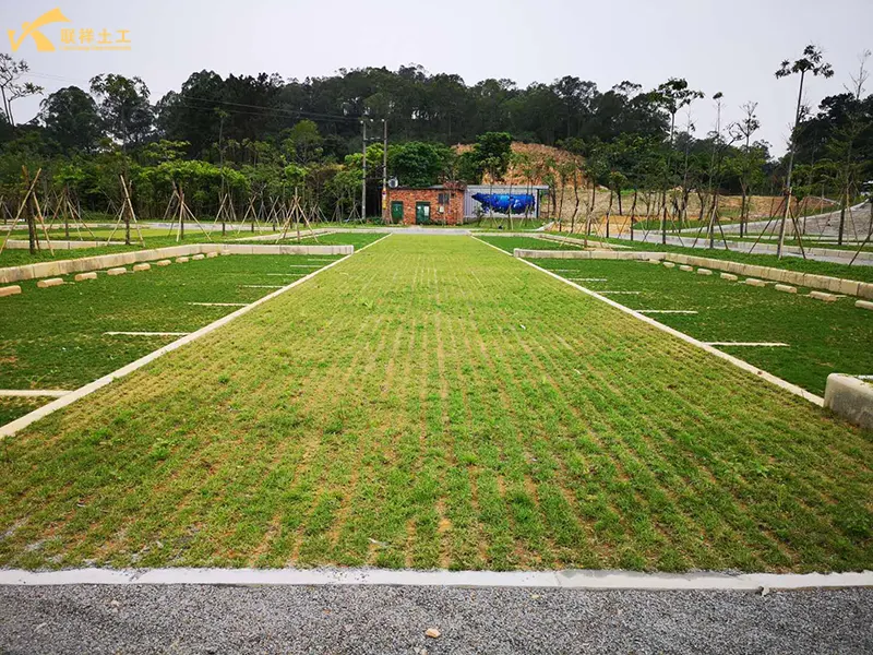 Parking Space Grass Grid In Use