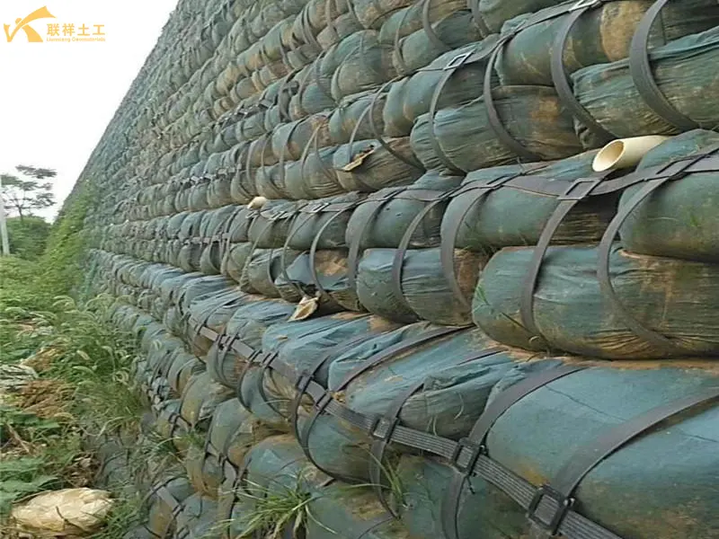 Steel-Plastic Geogrid Slope Protection Project