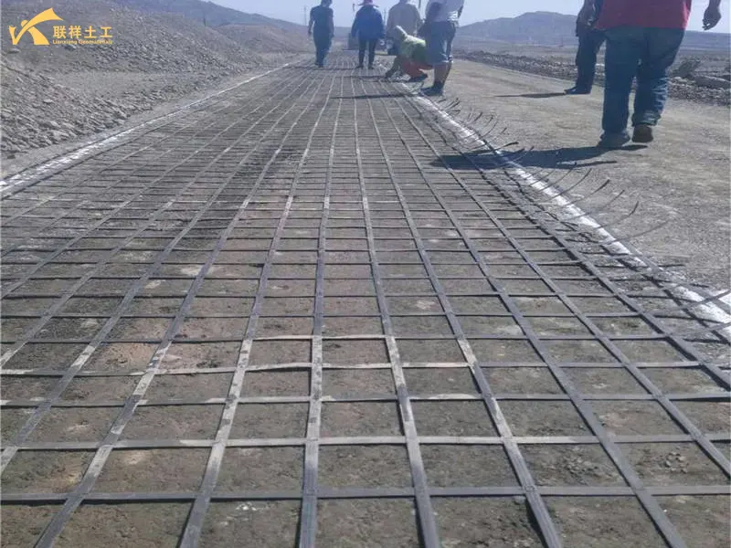 Steel-Plastic Geogrid Roadbed Reinforcement Construction