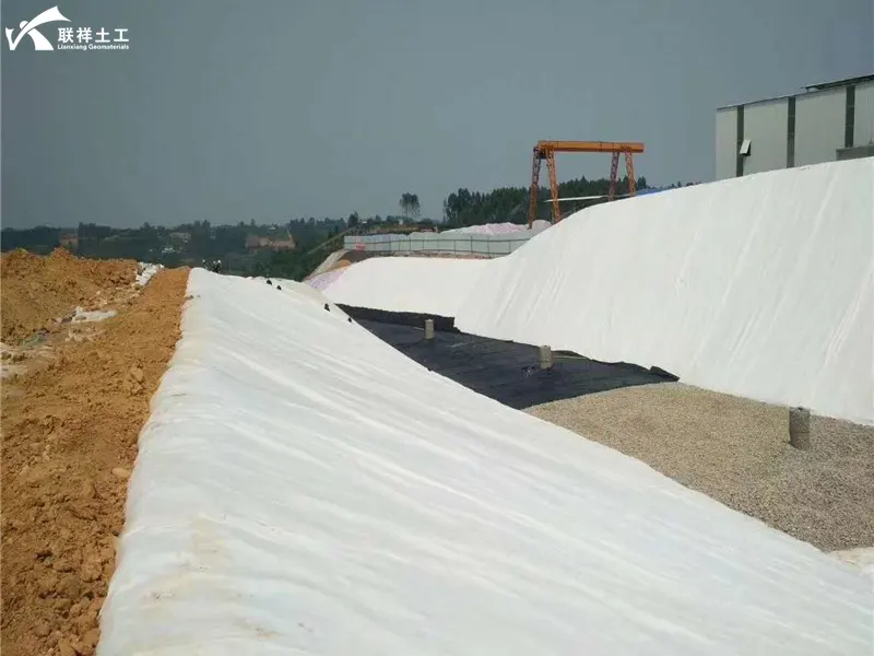 Geotextile Riverbank Protection Project Geotextile Riverbank Protection Project