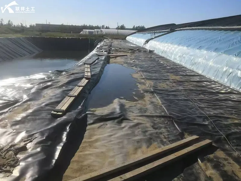Vacuum Chamber Testing After Geomembrane Laying Vacuum Chamber Testing After Geomembrane Laying